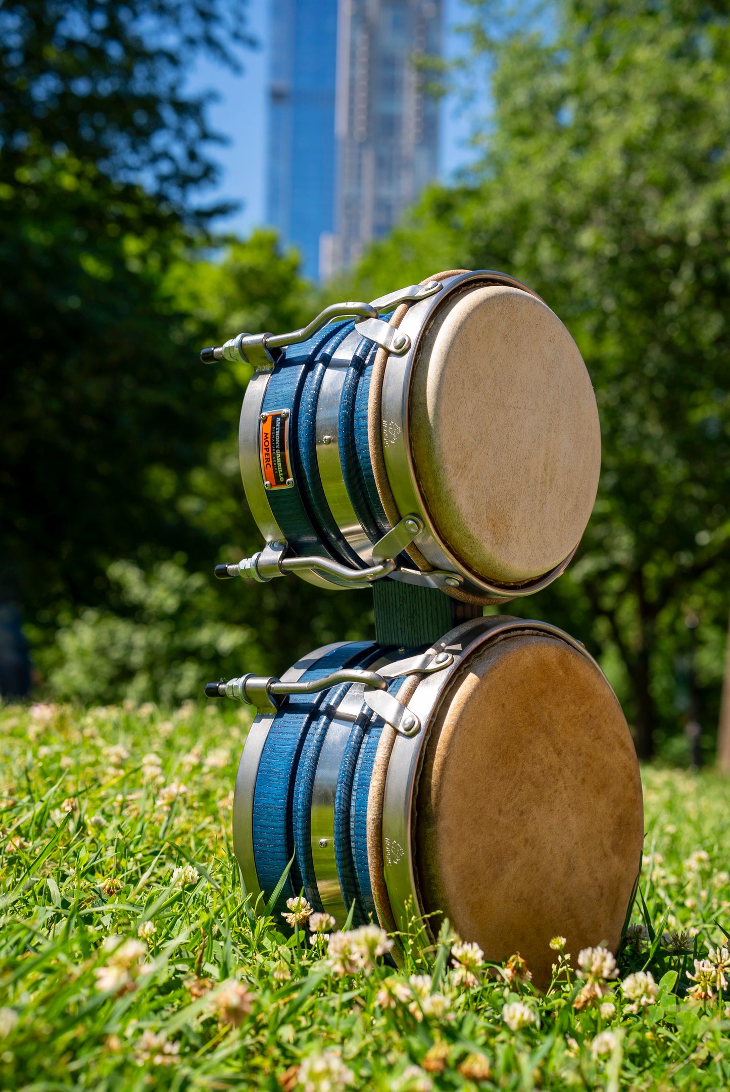 Anthony Carrillo signature bongo