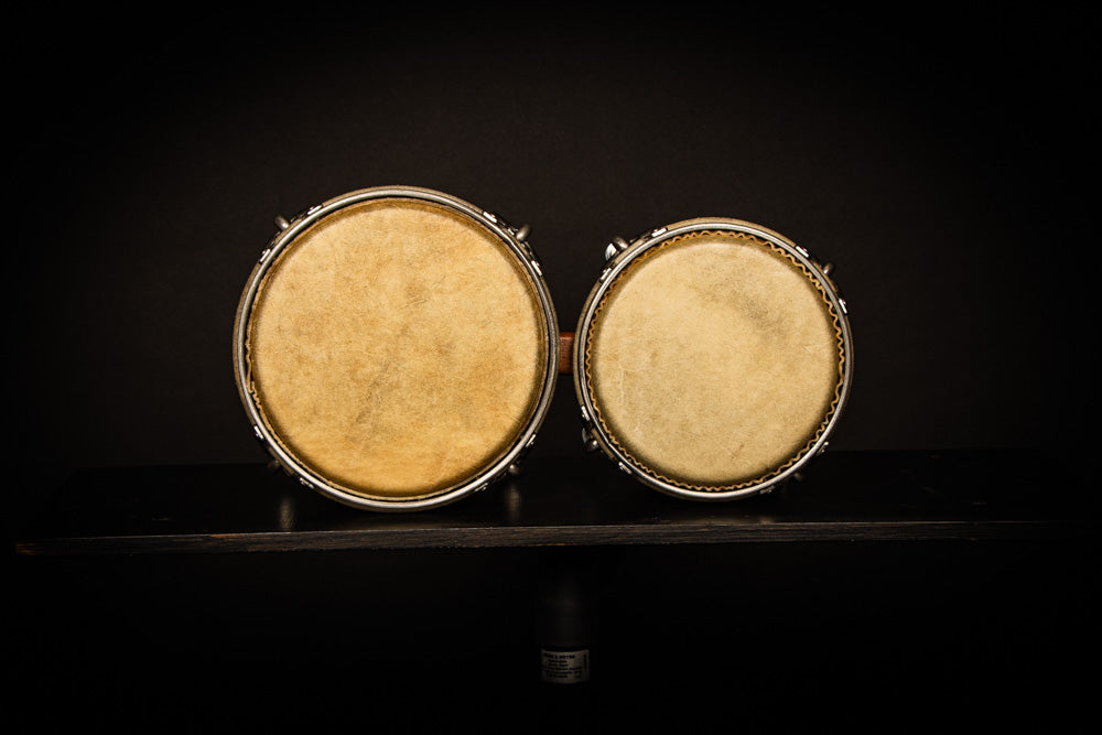 2 tone mahogany/walnut bongo - 8.5'' hembra - Ready to ship