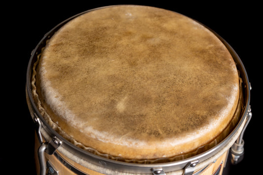 Custom conga - Ash - 4 bands natural tumba 12.5'' - Ready to ship
