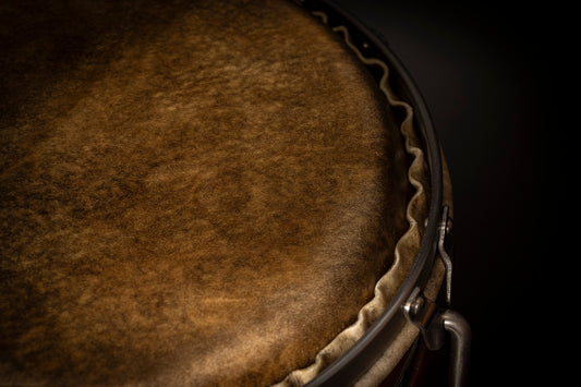 10 inch quinto with bison head - Ready to ship